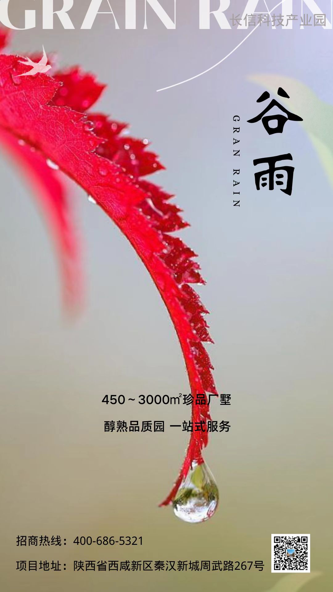 ꝙòڶ
